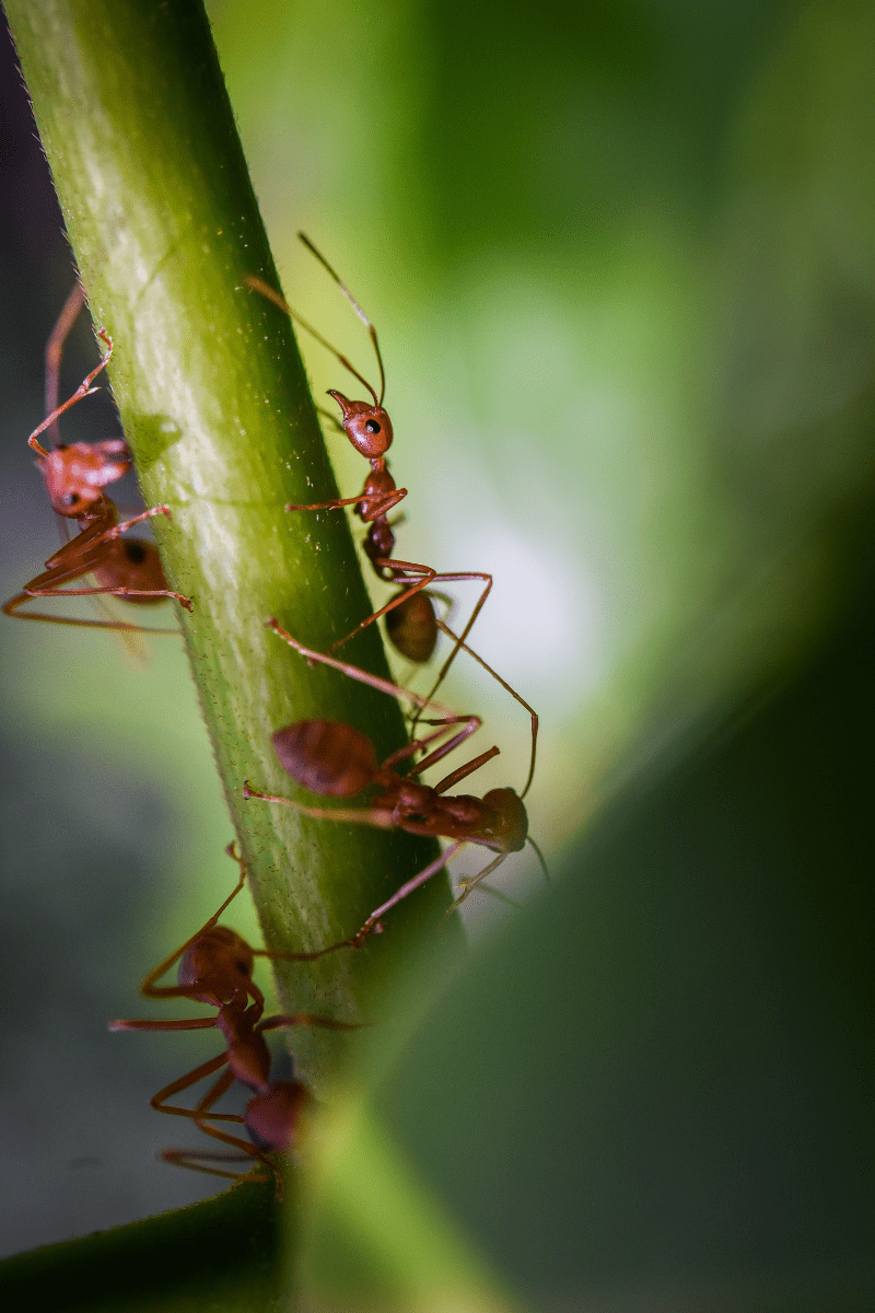 High S Summer Inspiration Cooporation High S Summer Inspiration Cooporation