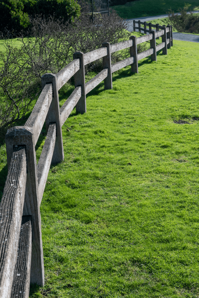 8 Balancing Boundaries and Self-Care