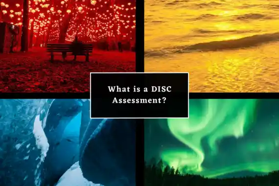 What is a DISC Personality Assessment?