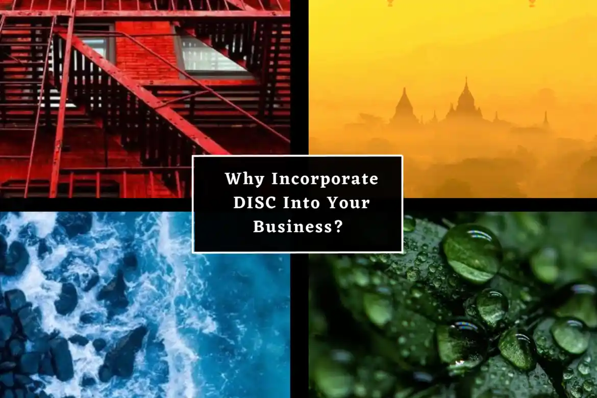 Why You Should Incorporate DISC Into Your Business